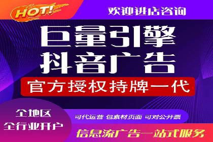 SEM代理案例：揭秘成功背后的秘密